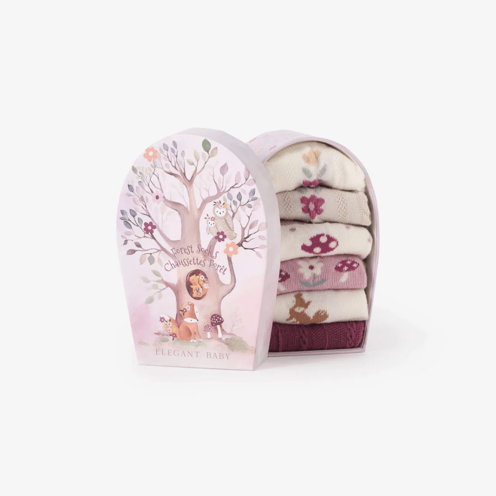 SOCKS BOX Forest & Dino Family